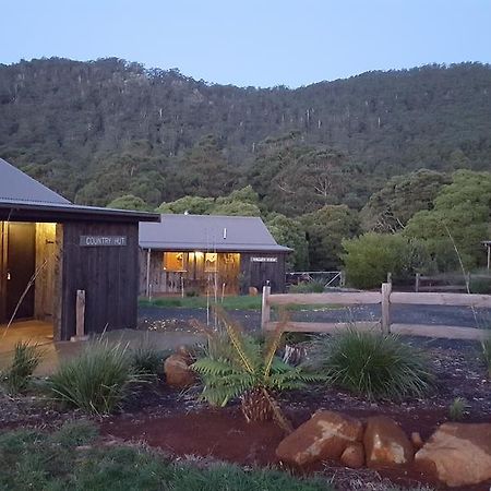 Rustic Hut Bush Retreat Acomodação com café da manhã Penguin Exterior foto
